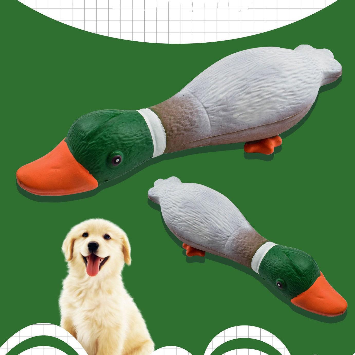 Latex Duck Dog Toy