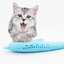 Cat Dental Chew Toy – Cleans Teeth While They Play