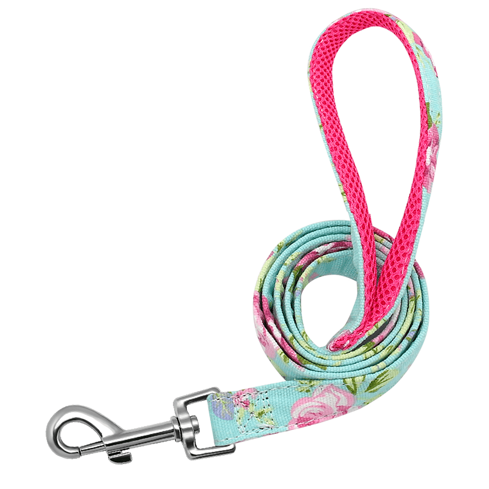 Custom Engraved Dog Collar with Name & Phone Number