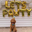 Christmas Hat or birthday hat for pets-1