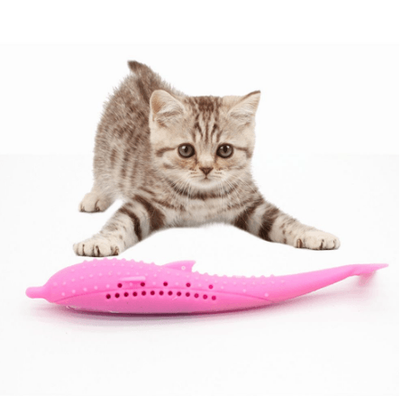 Cat Dental Chew Toy – Cleans Teeth While They Play