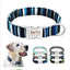 Custom Engraved Dog Collar with Name & Phone Number