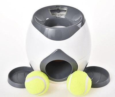 Automatic Pet Training And Feeding System