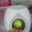Automatic Pet Training And Feeding System